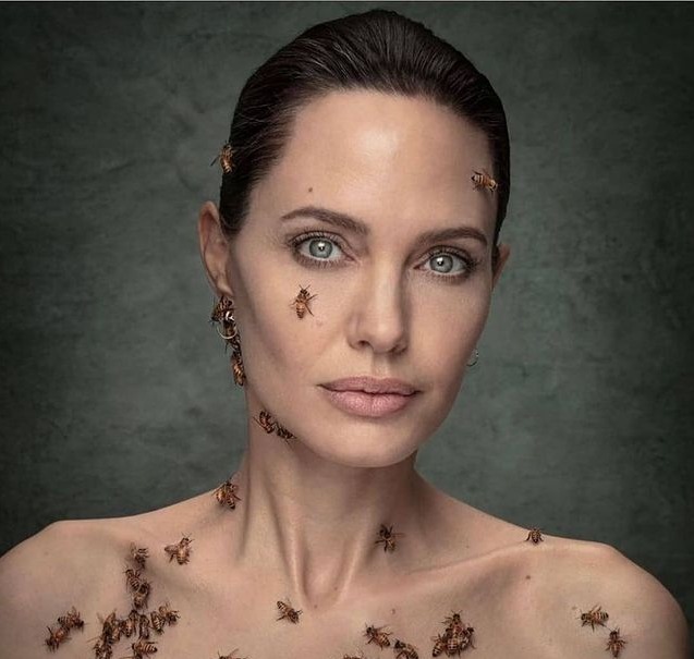 Angeline Jolie Speaks About Her Love Life